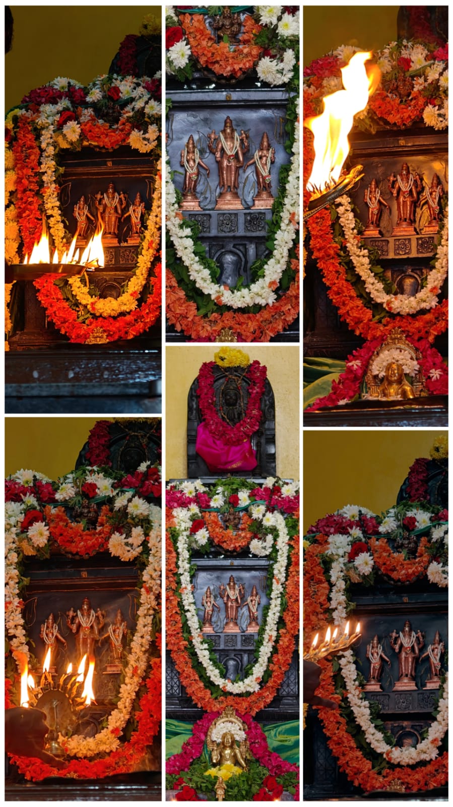Gallery image 9