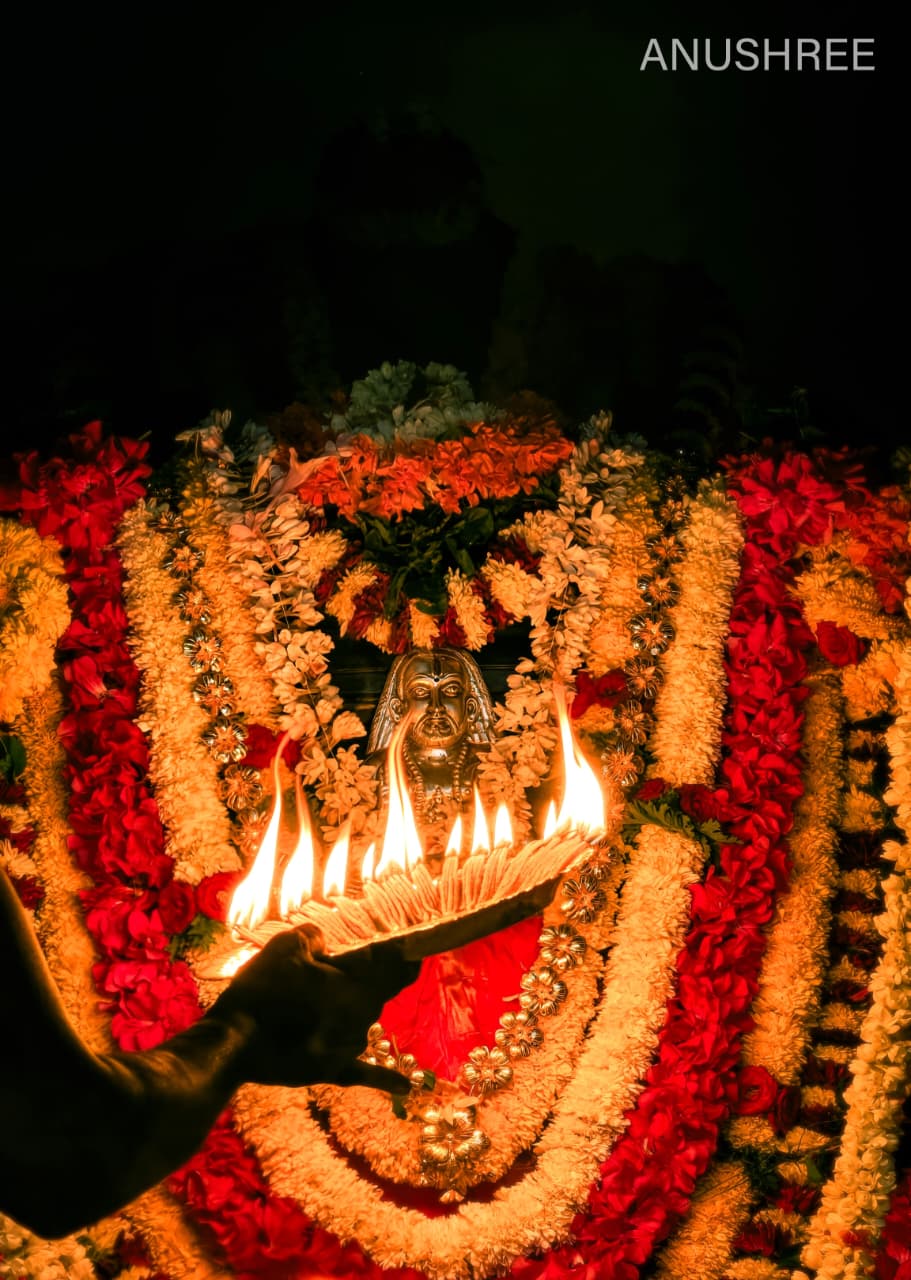 Gallery image 12